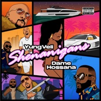 Shenanigans - Single - YungVeli & Dame Hossana
