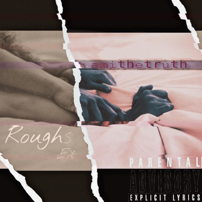Rough(S)Ex