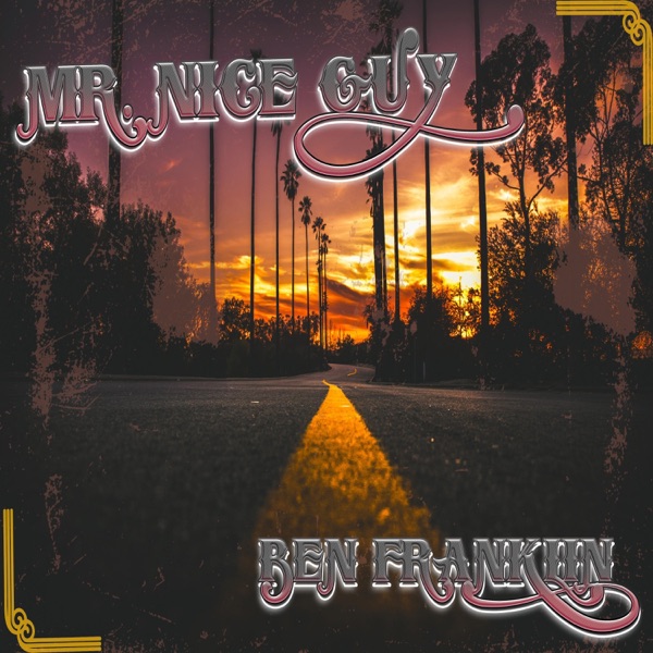 Mr. Nice Guy - Single