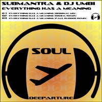 Everything Has a Meaning - Single - Submantra & DJ Umbi