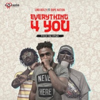 Everything 4 You (feat. Dopenation) - Single - Lino Beezy