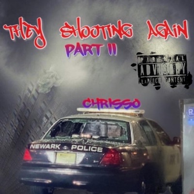 They Shooting Again, Pt. II - Single