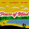 Peace of Mind (feat. Tory Lanez & Davido) - Single