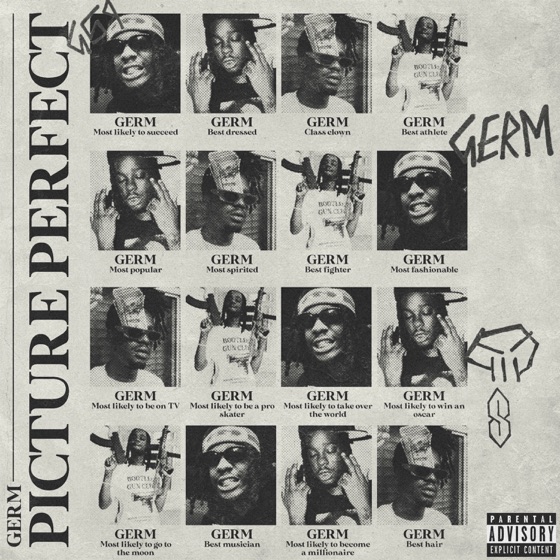 Cover artwork for Picture Perfect