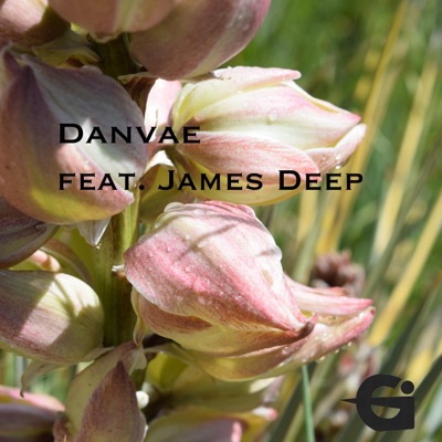 Danvae (feat. James Deep) - Single
