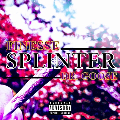 SPLINTER (feat. Dr. Goose) - Single