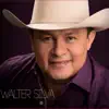 Walter Silva - La Clave para Olvidar
