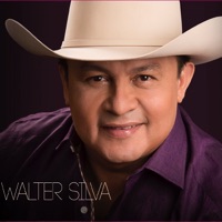 Walter Silva - La Realidad de la Vida