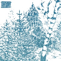 Renegade1996 (feat. Rare Akuma) - Single - Stealth the Sneaky