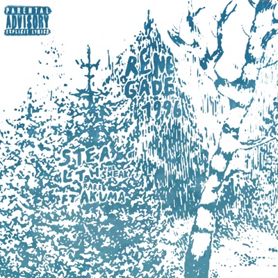 Renegade1996 (feat. Rare Akuma) - Single