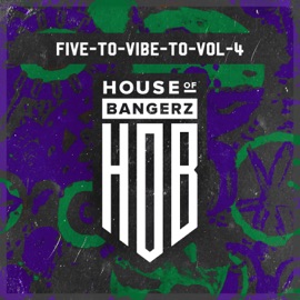 House Enthusiast Overthinking