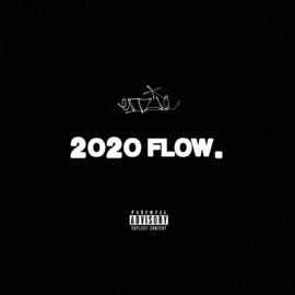 2020 Flow. Enzie