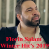 Florin Salam - Producatorii Romaniei artwork