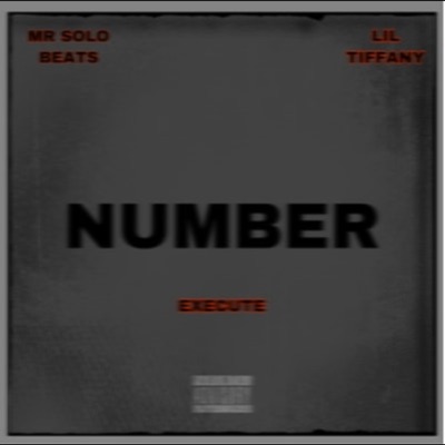 Number (feat. Lil Tiffany & MrSoloBeats) - Single