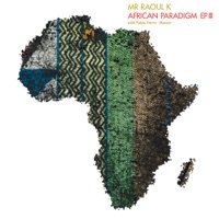 African Paradigm EP 3 (with Pablo Fierro and Manoo) - Mr Raoul K, Pablo Fierro & Manoo
