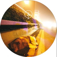 Strangers No More - EP - Bvdub