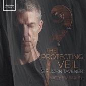 The Protecting Veil: IV. The Incarnation artwork