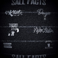 Sall Facts (feat. Kid Killit, Tokey & Keatz Weber) - Single - Dougie