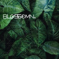 Plunge - EP - Blossomn
