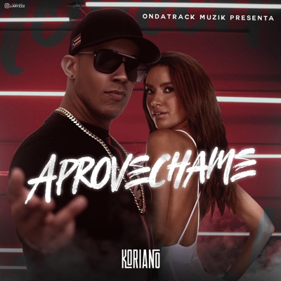 Aprovechame - Single