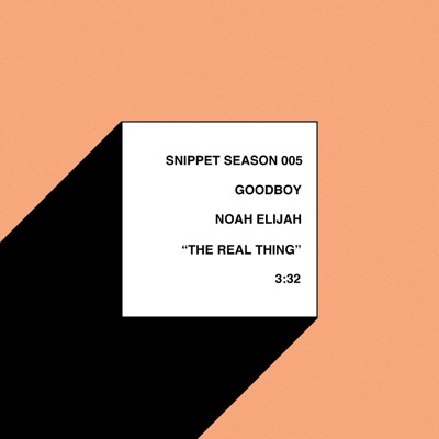 The Real Thing (feat. Noah Elijah) - Single