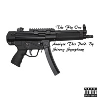 Analyze This - Single - The Fly One