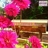 Fertilizer. (feat. SEAN AVERAGE, JOHNNY B., Skoob. & itsjustdra) - EP