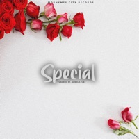 Special (feat. Tjay & Arnold) - Single - YUNGROC