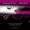 What You Want (Richard Earnshaw Remix) [Richard Earnshaw Remix]
