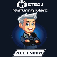 All I Need (feat. MARC) - Single - Stedj