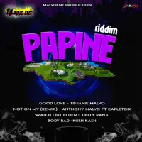 Not on My Level Remix (feat. Capleton) — Anthony Malvo