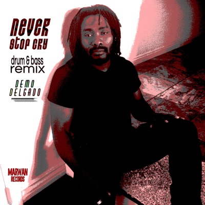 Never Stop Cry (feat. Ganjah Burn Fyah) [Drum & Bass Remix] - Single
