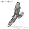 Águila Aguile - Simon Jano Sessions new Single