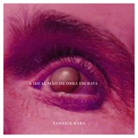 A Ideal Mão de Obra Escrava - Single - Yannick Hara