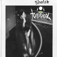 Free Play. - Single - ToadStool