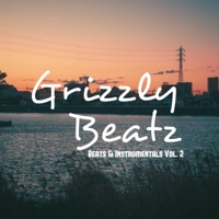 Beats & Instrumentals, Vol. 2 (Instrumental) - Grizzly Beatz