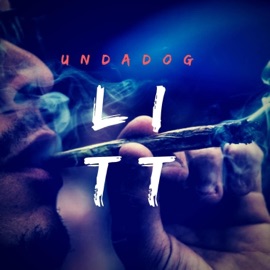 Litt Undadog
