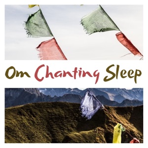 Om Chanting Sleep - Removes All Negative Blocks