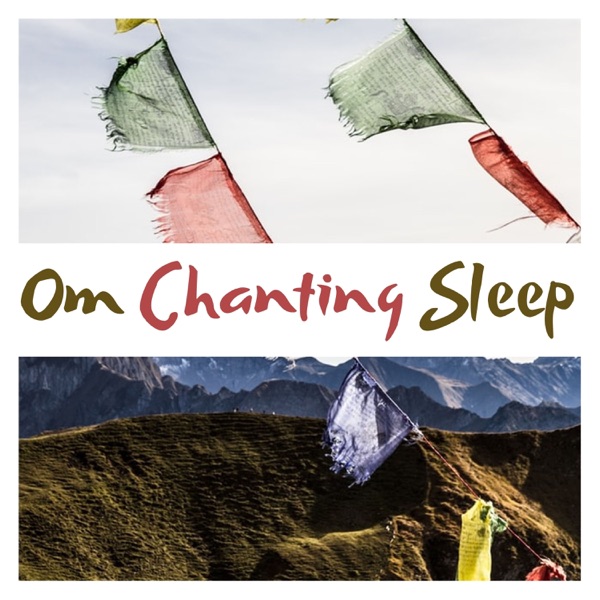 Om Chanting Sleep - Removes All Negative Blocks