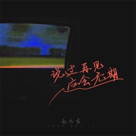 说过再见后会无期 Naiji Zhao