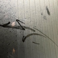 Stay in yo lane (feat. Lil Kemp) - Single - Bnf Kdxgg