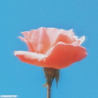 Cannasutra - Single - Luvgrip