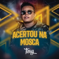 Tierry - Acertou na Mosca