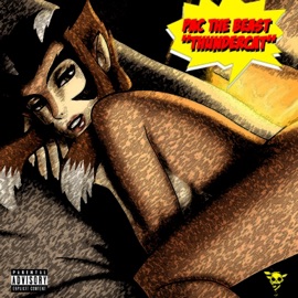 ThunderCat PAC the Beast