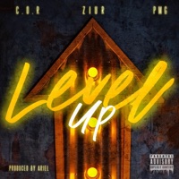 Level Up (feat. C.O.R & PMG) - Single - Ziur