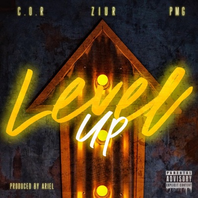 Level Up (feat. C.O.R & PMG) - Single