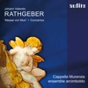 Thilo Hirsch - Concerto XIII In D Für Tromba Marina, Streicher, Pauken Und Basso Continuo