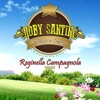 Reginella campagnola (Remix) - Single