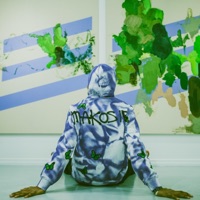 Robin Hood - Single - Makosir