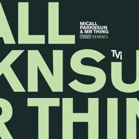 Finish What We Started Remixes - EP - Micall Parknsun & Mr Thing